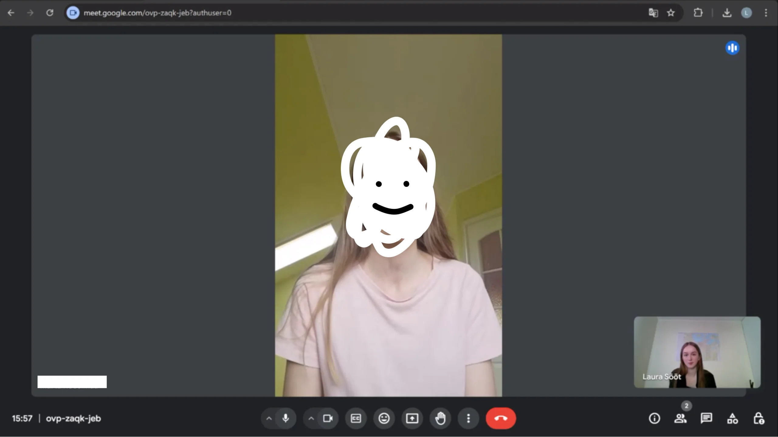 Screenshot of an Interview