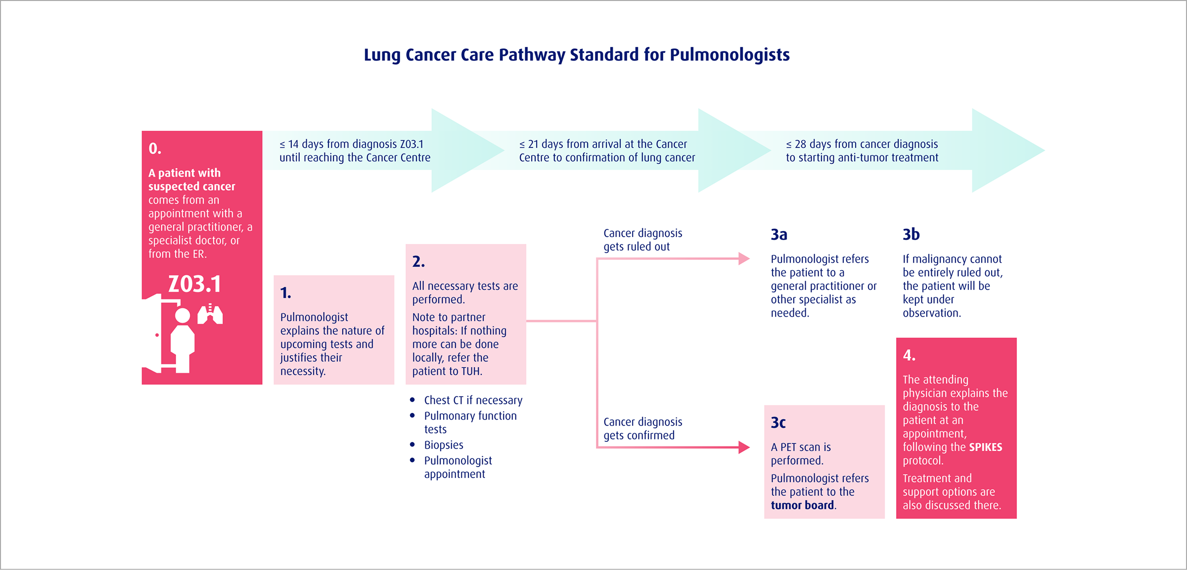 Pulmonologists
